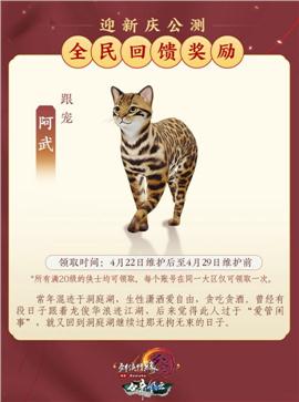 南宁天龙八部私服